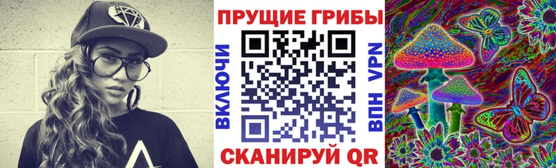 Галлюциногенные грибы MAGIC MUSHROOMS  MEGA зеркало  Афипский 
